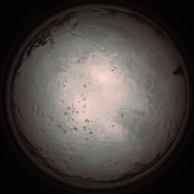 capture_202112091247_3383.Png
