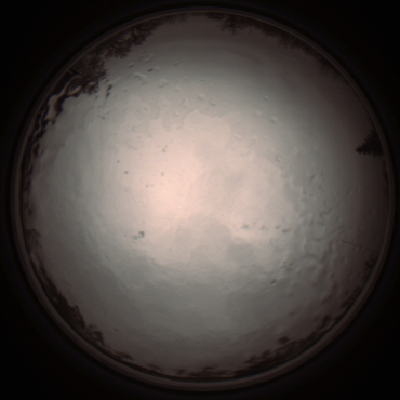 capture_202112091155_3331.Png