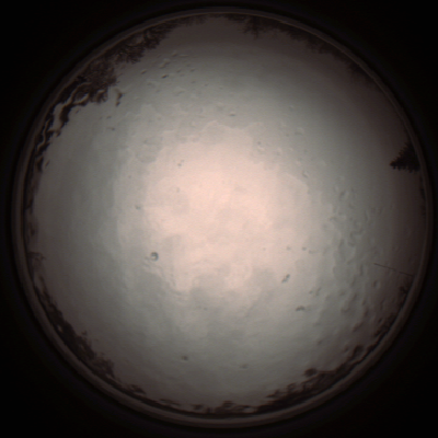 capture_202112091200_3336.Png