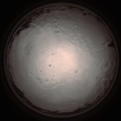 capture_202112091336_3432.Png