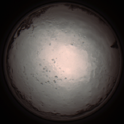 capture_202112091238_3374.Png