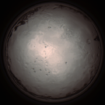 capture_202112091309_3405.Png