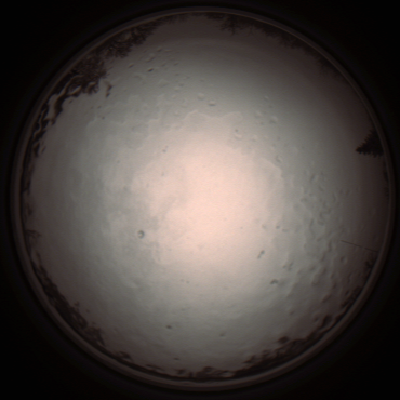 capture_202112091201_3337.Png