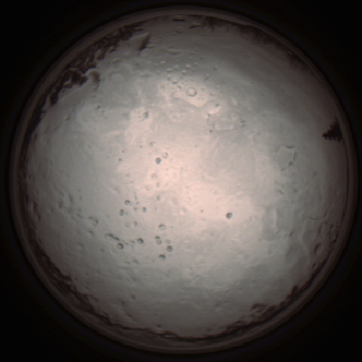 capture_202112091250_3386.Png