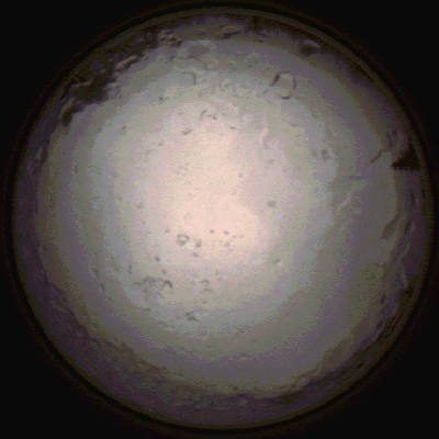 capture_202112091441_3497.Png