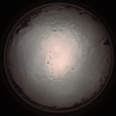 capture_202112091339_3435.Png