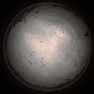 capture_202112091249_3385.Png