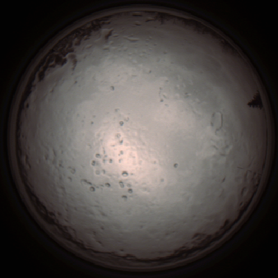 capture_202112091248_3384.Png