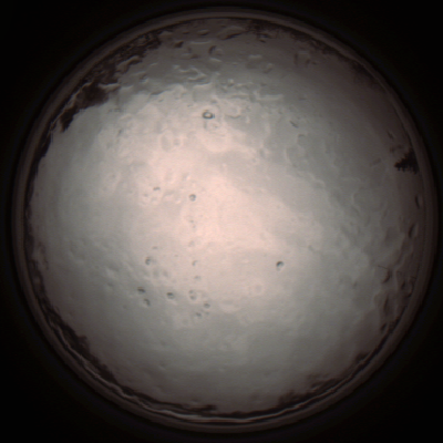 capture_202112091320_3416.Png