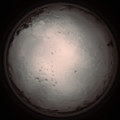 capture_202112091306_3402.Png