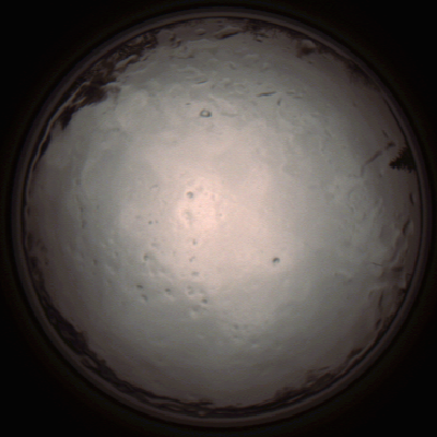 capture_202112091331_3427.Png