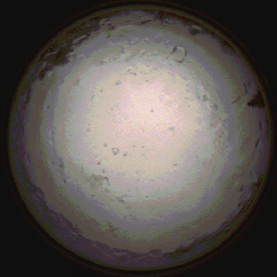 capture_202112091423_3479.Png