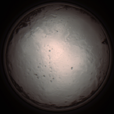 capture_202112091302_3398.Png