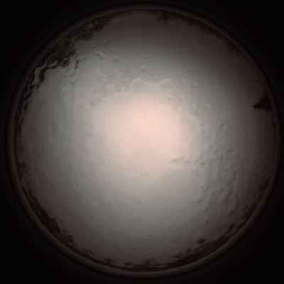 capture_202112091146_3322.Png
