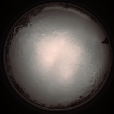 capture_202112091116_3292.Png