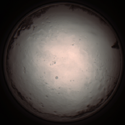 capture_202112091230_3366.Png