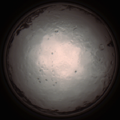 capture_202112091312_3408.Png