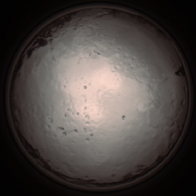 capture_202112091303_3399.Png