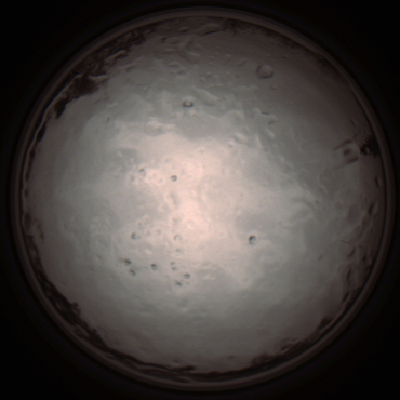 capture_202112091318_3414.Png
