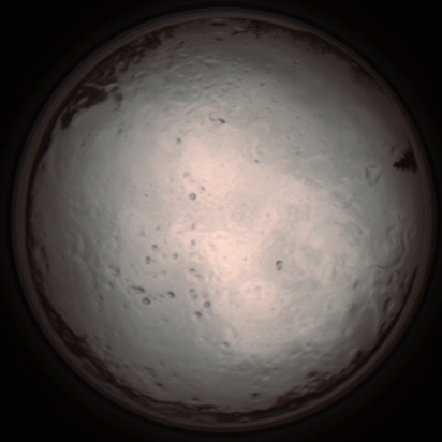 capture_202112091256_3392.Png