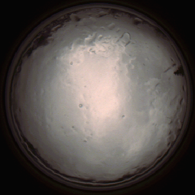 capture_202112091348_3444.Png