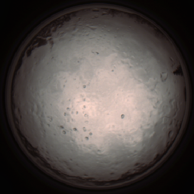 capture_202112091257_3393.Png