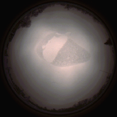 capture_202112090823_3119.Png
