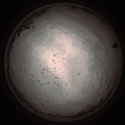 capture_202112091245_3381.Png