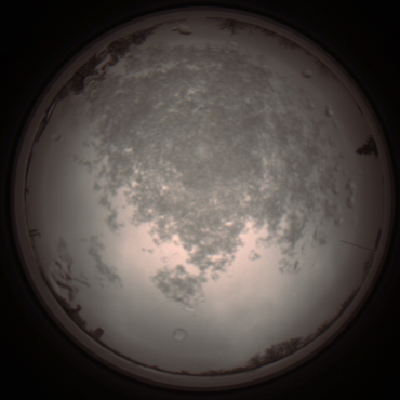 capture_202112101334_3980.Png