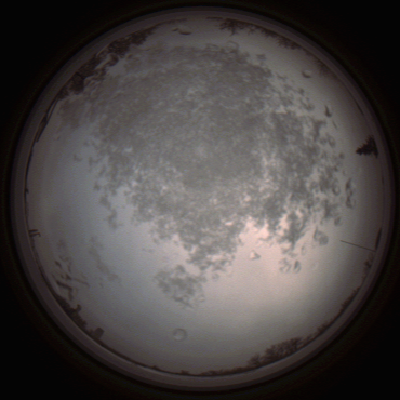 capture_202112101438_4044.Png