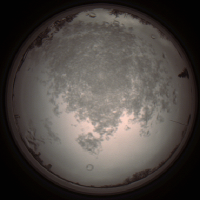 capture_202112101310_3956.Png