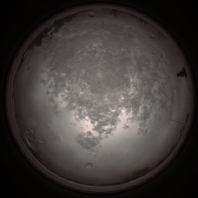 capture_202112101224_3910.Png