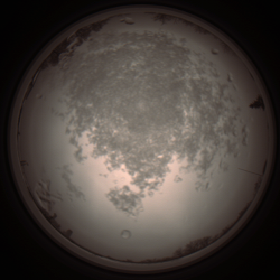 capture_202112101328_3974.Png