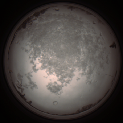 capture_202112101139_3865.Png