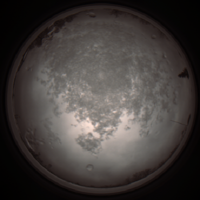 capture_202112101225_3911.Png