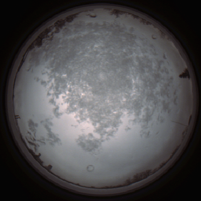 capture_202112101157_3883.Png