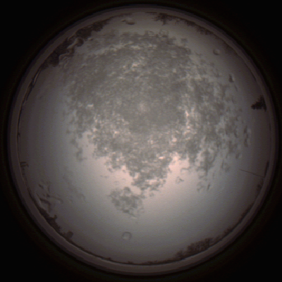 capture_202112101445_4051.Png