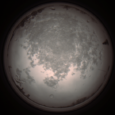 capture_202112101144_3870.Png