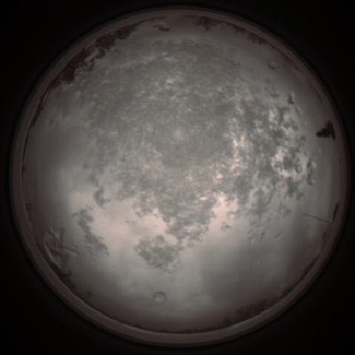 capture_202112101242_3928.Png