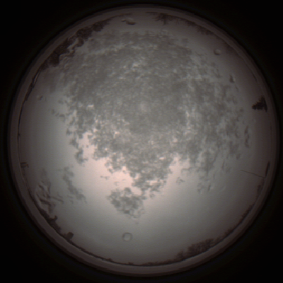 capture_202112101320_3966.Png