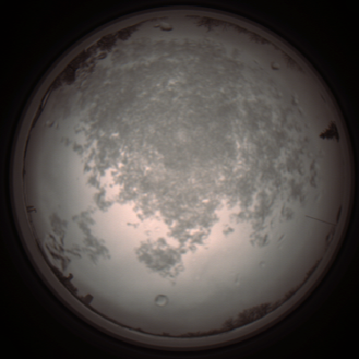 capture_202112101141_3867.Png