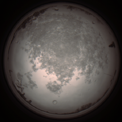 capture_202112101140_3866.Png