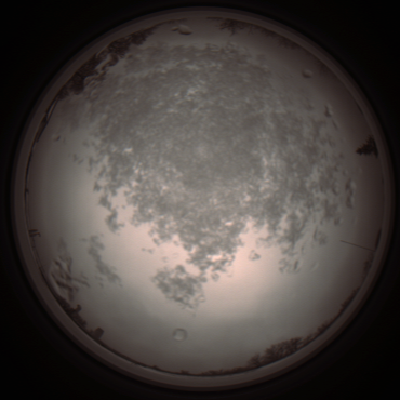 capture_202112101341_3987.Png