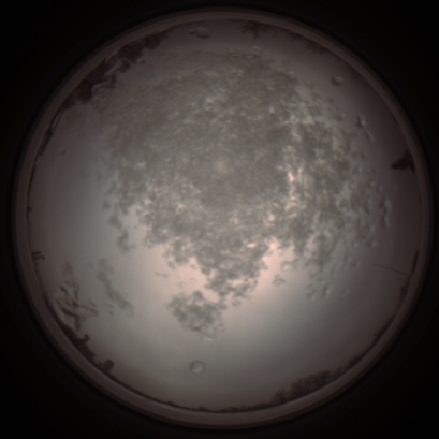 capture_202112101409_4015.Png