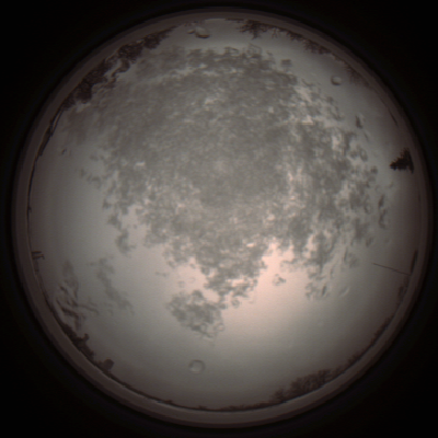 capture_202112101306_3952.Png