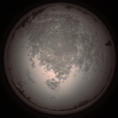capture_202112101426_4032.Png