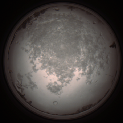 capture_202112101134_3860.Png