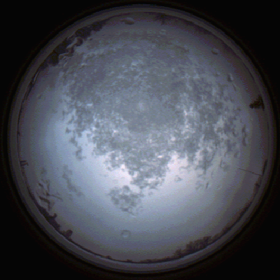 capture_202112101507_4073.Png