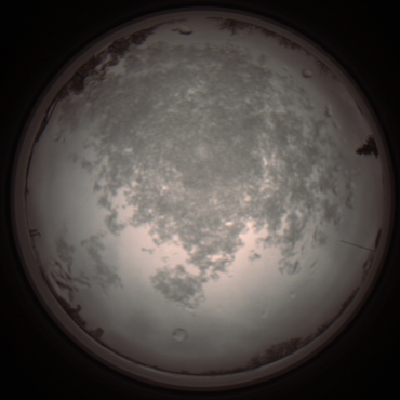 capture_202112101203_3889.Png