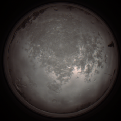 capture_202112101239_3925.Png